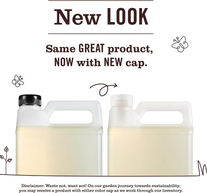 CLEAN DAY Liquid Dish Soap Refill, Compassion Flower, Packaging May Vary, 48 Fl. Oz