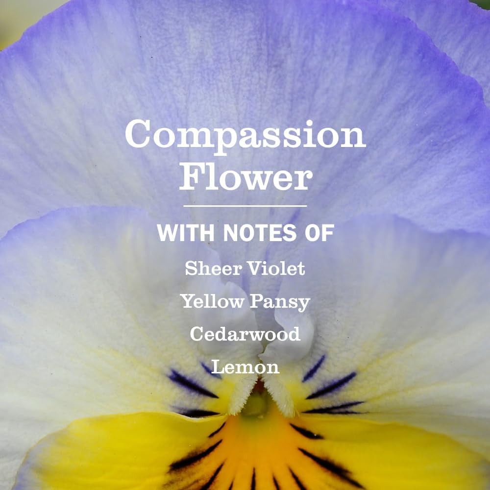 CLEAN DAY Liquid Dish Soap Refill, Compassion Flower, Packaging May Vary, 48 Fl. Oz
